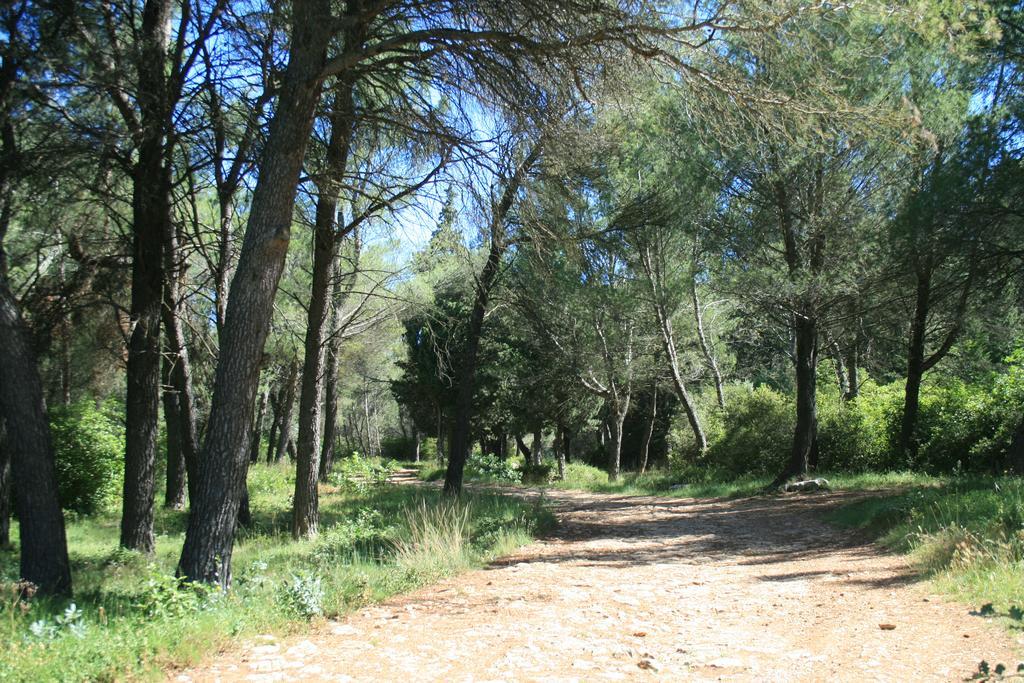 Chambres D'Hotes Le Puid De Gauthier Saturargues Exteriör bild